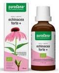 Echinacea forte (Echinacea purpurea) gocce integratore alimentare bio 50 ml