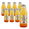 KIT 8 x succo di crauti BIO 300 ml