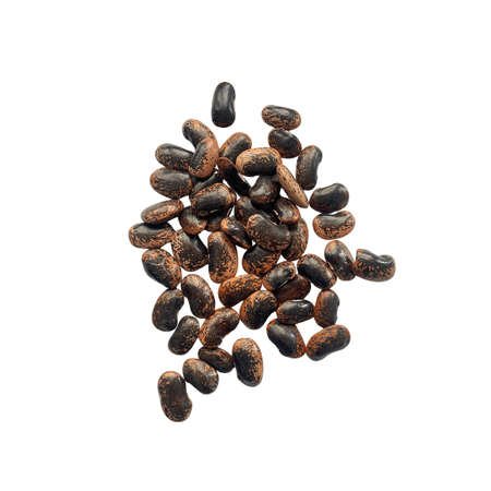 Fagioli Jas colorati 2 kg - TOLA