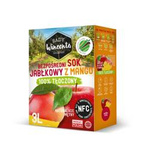Frutteti Wincenta 100% succo di mela con mango 3l