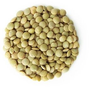 Lenticchie verdi biologiche (materia prima) (25 kg) 4 – Bio Planet