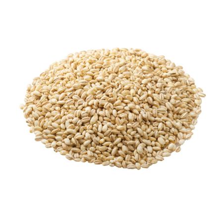 Semole di pane 10 kg - Tola 