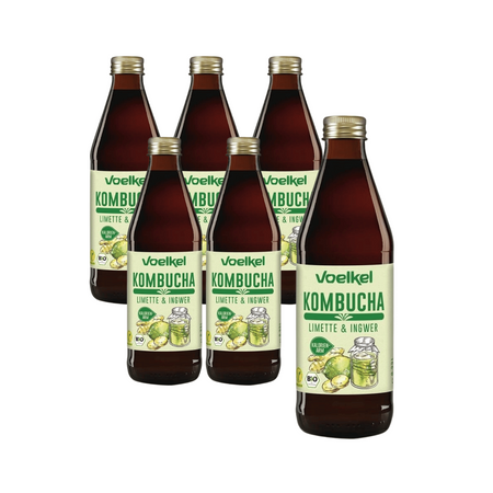 SET 6 x Kombucha lime-zenzero BIO 330 ml