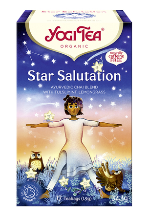 Tisana Ayurvedica Star Salutation Biologico (17 x 1,9 g) 32,3 g – Yogi Tea