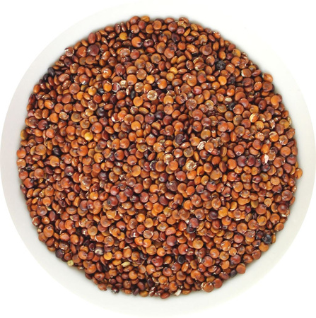 Quinoa rossa Biologico 25 kg – Horeca