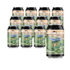 SET 12 x Prager's kombucha Original lattina 330ml