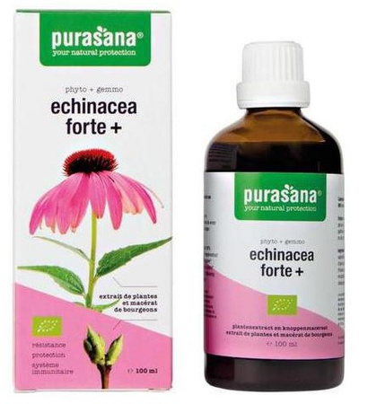 Echinacea forte (Echinacea purpurea) gocce bio integratore alimentare 100 ml