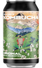 SET 12 x Prager's kombucha Original lattina 330ml