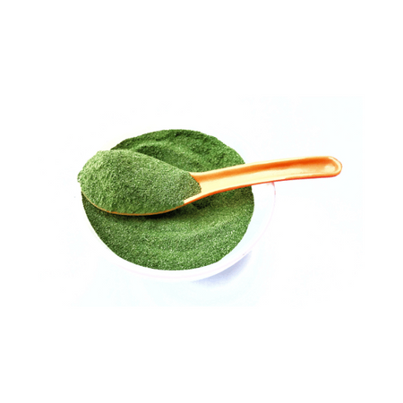 Moringa - polvere 500 g - TOLA