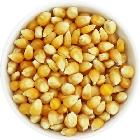 Popcorn (chicchi di mais) BIO (materia prima) (25 kg) 2