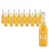 Set di 16 x kombucha originale 330 ml