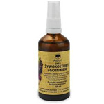 Olio Resinbost con Genziana 100 ml