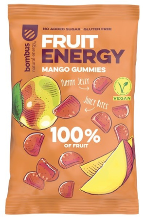 Snack al mango 100% frutta senza glutine 35 g – Bombus