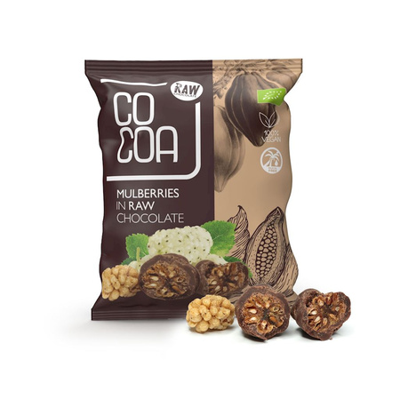 Gelsi turchi in cioccolato crudo bio 70 g