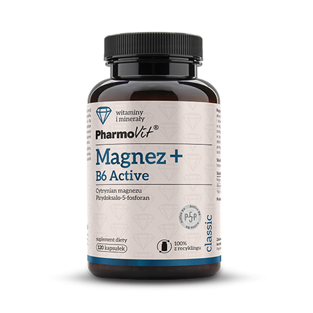 Magnesio con Vit. B6 Activ integratore alimentare senza glutine 120 capsule 81,37 g – Pharmovit