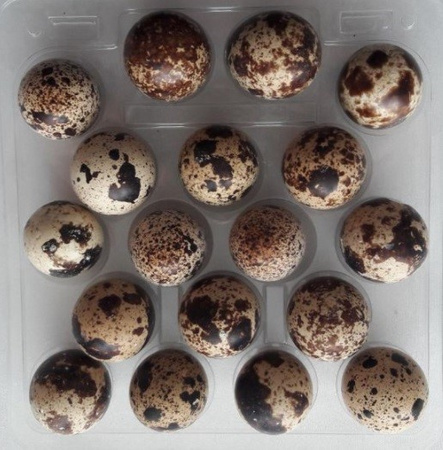 Uova di quaglia 18 pz. – Ferma Drobiu