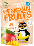 Mela e mango liofilizzati BIO 15 g