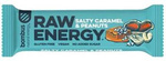 Barretta RAW ENERGY caramello salato e arachidi senza glutine 50 g – Bombus