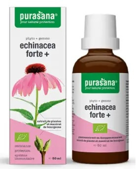 Echinacea forte (Echinacea purpurea) gocce integratore alimentare bio 50 ml