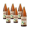 SET 6 x Kombucha BIO 750 ml