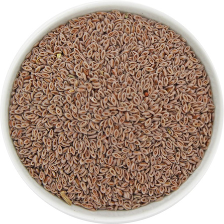 Semi di psillio Biologico (materia prima) (25 kg) – Horeca