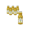 SET 6 x Succo di zenzero nfc bio 250 ml