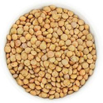 Lenticchie marroni BIO (crude) (25 kg) 6