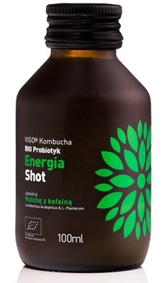 Kombucha Shot Probiotico Energetico Biologico 100 ml – Vigo