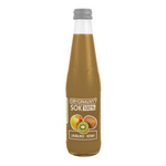 Succo di mela e kiwi 100% 330 ml