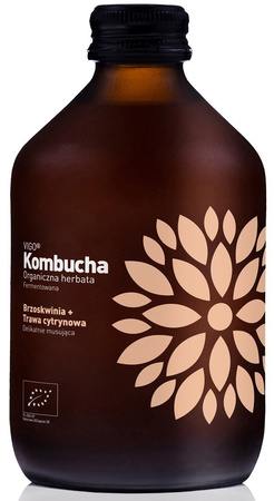 Kombucha pesca e lemongrass biologico 330 ml – Vigo
