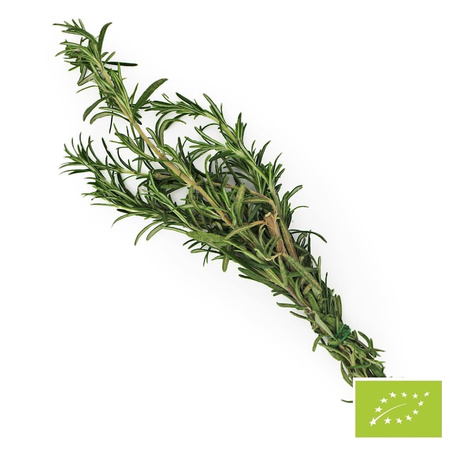 Rosmarino fresco bio (circa 50 g) - BIO
