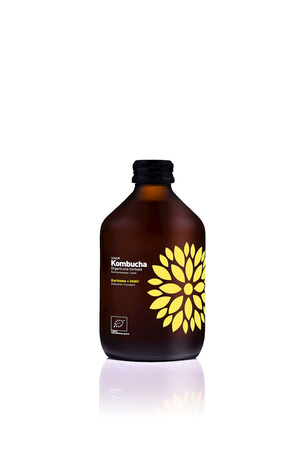 Kombucha Curcuma e Zenzero Biologico 330 ml – Vigo