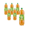 SET 6 x Kombucha tè verde bio 2 l
