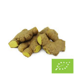 Zenzero fresco bio (circa 0,20 kg)