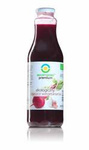 Borscht vegetariano BIO 500 ml
