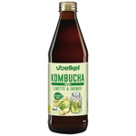 Kombucha lime-zenzero BIO 330 ml