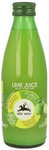 Succo di lime NFC 100% Biologico 250 ml – Alce Nero
