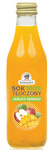 Succo di mela con mango NFC 250 ml - Rembowcy