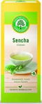 Tè verde Sencha express bio (20 x 1,5 g) 30 g