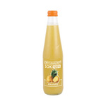 Succo di ananas e mela 330 ml