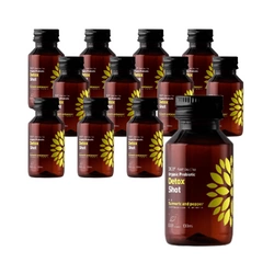 SET 12 x Kombucha bio probiotico detox shot 100 ml