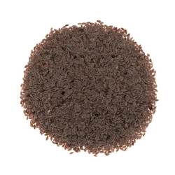 Semi di psillio (psyllium) 1 kg - Tola
