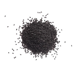 Semi di cumino nero 25 kg - Tola