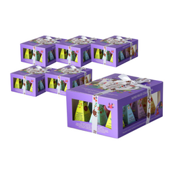 SET 6 x Collezione di tè alla frutta bio piramidale (superfrutti - 6 gusti) (12 x 2 g) 24 g - english tea shop bio