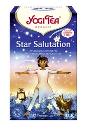 Tisana Ayurvedica Star Salutation Biologico (17 x 1,9 g) 32,3 g – Yogi Tea