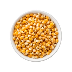 Chicchi di popcorn 10 kg - Tola