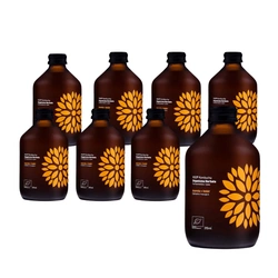 SET 8 x Kombucha zenzero+acerola bio 330 ml