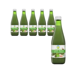 SET 6 x Succo di cetriolo sottaceto senza zucchero bio 300 ml