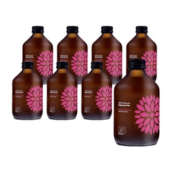 SET 8 x Kombucha mango + frutto della passione bio 330 ml - vigo