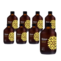 SET 8 x Kombucha curcuma + zenzero bio 330 ml